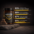 Jar of Shilajit Gummies | Energía, foco y ritmo diario with stacked gummies and wellness benefits statistics in Spanish.